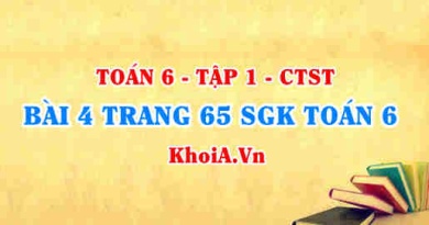 Bài 4 trang 64 SGK Toán 6 Chân trời sáng tạo Tập 1